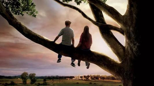 Nếu bạn không đáp ứng được kỳ vọng của người khác, bạn sẽ không bao giờ có thể bày tỏ thành công tình yêu của mình với một người cụ thể.