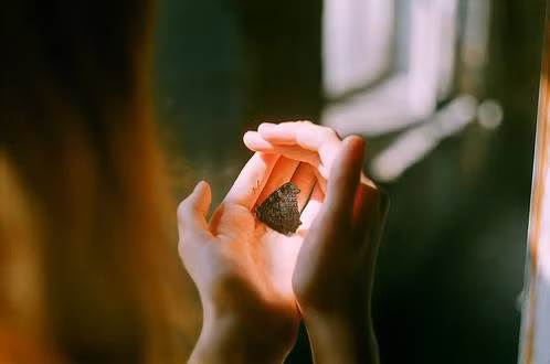 Đôi khi, sự hấp dẫn không nhất thiết là một điều tốt.