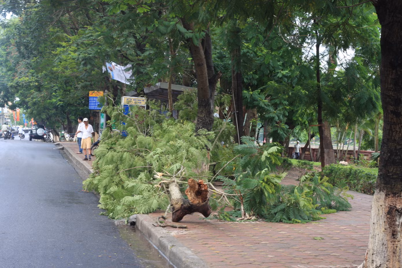 Trên phố Kim Mã