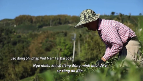 Cuộc sống chực chờ bị bắt của những người Việt làm chui tại Đài Loan ảnh 4