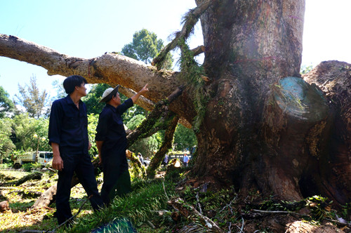 Bản tin 14H: Cột bê tông xuyên dọc ô tô, tài xế thoát chết thần kỳ ảnh 2