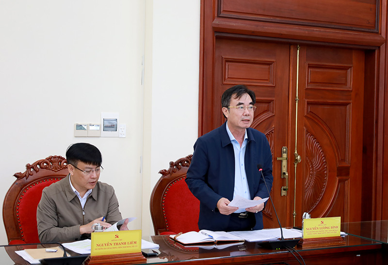 Ông Nguyễn Lương Bình phát biểu tại phiên họp.