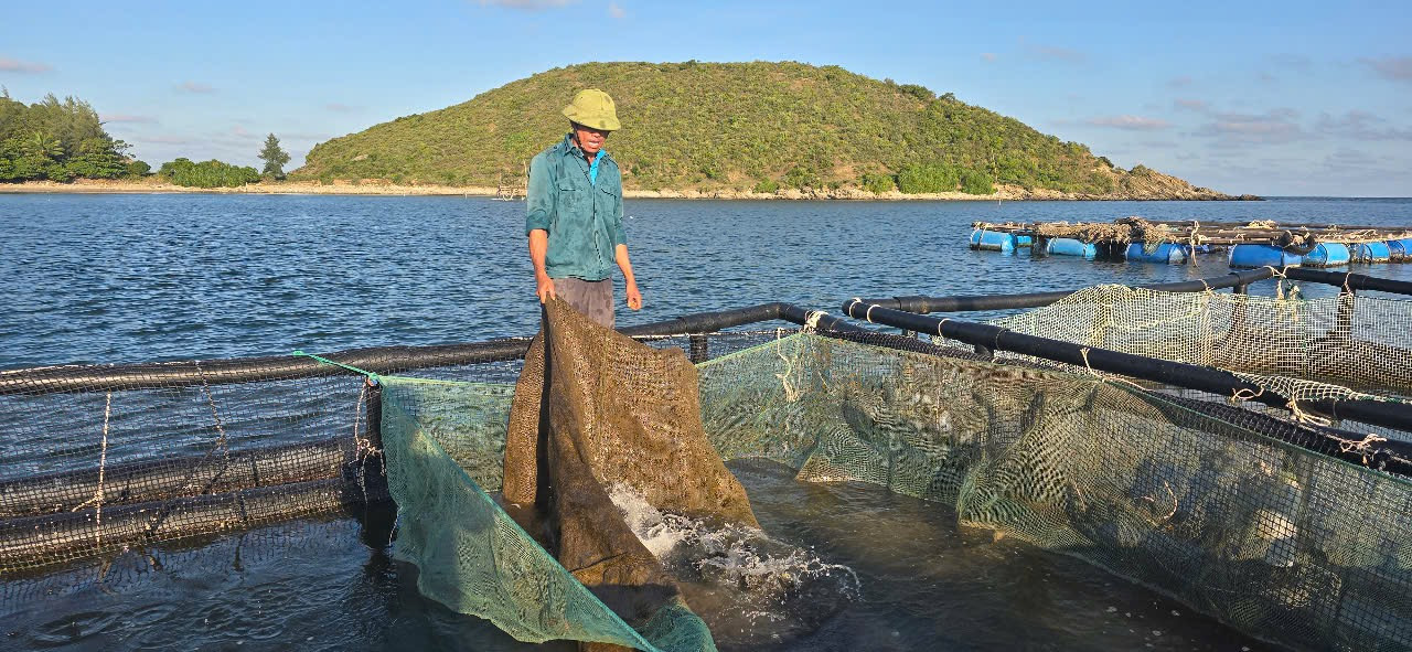 Cá bắt đầu chết khi xuất hiện váng đen "lạ" trên mặt nước.