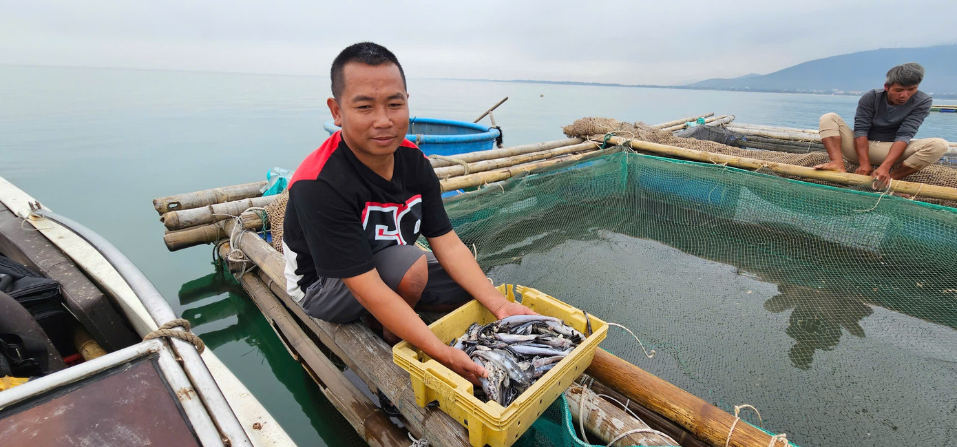 Cá chết được người dân vớt lên mỗi sáng.