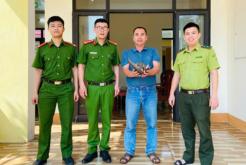 Anh Linh mang cá thể tê tê đến công an xã giao nộp.