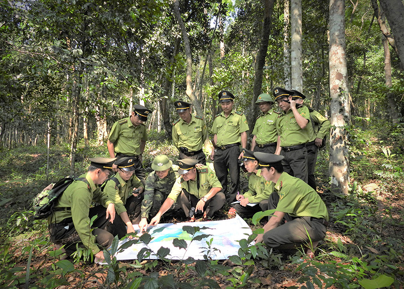 Kiểm lâm VQG Phong Nha - Kẻ Bàng tuần tra rừng di sản. Kiểm lâm VQG Phong Nha - Kẻ Bàng tuần tra rừng di sản.