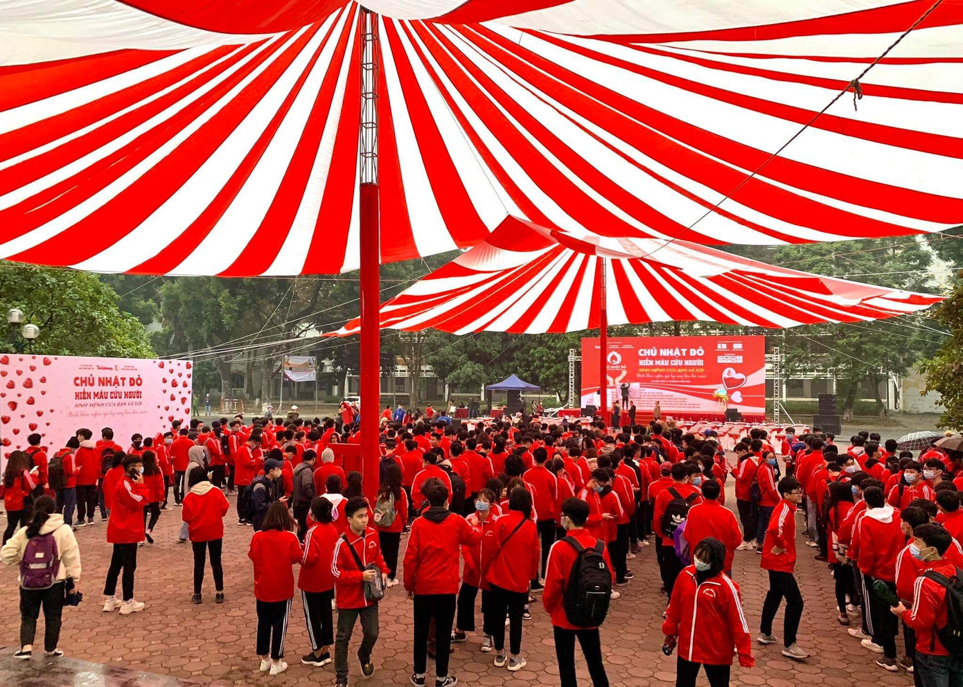 Giọt máu ấm giữa ngày đông lạnh ảnh 108