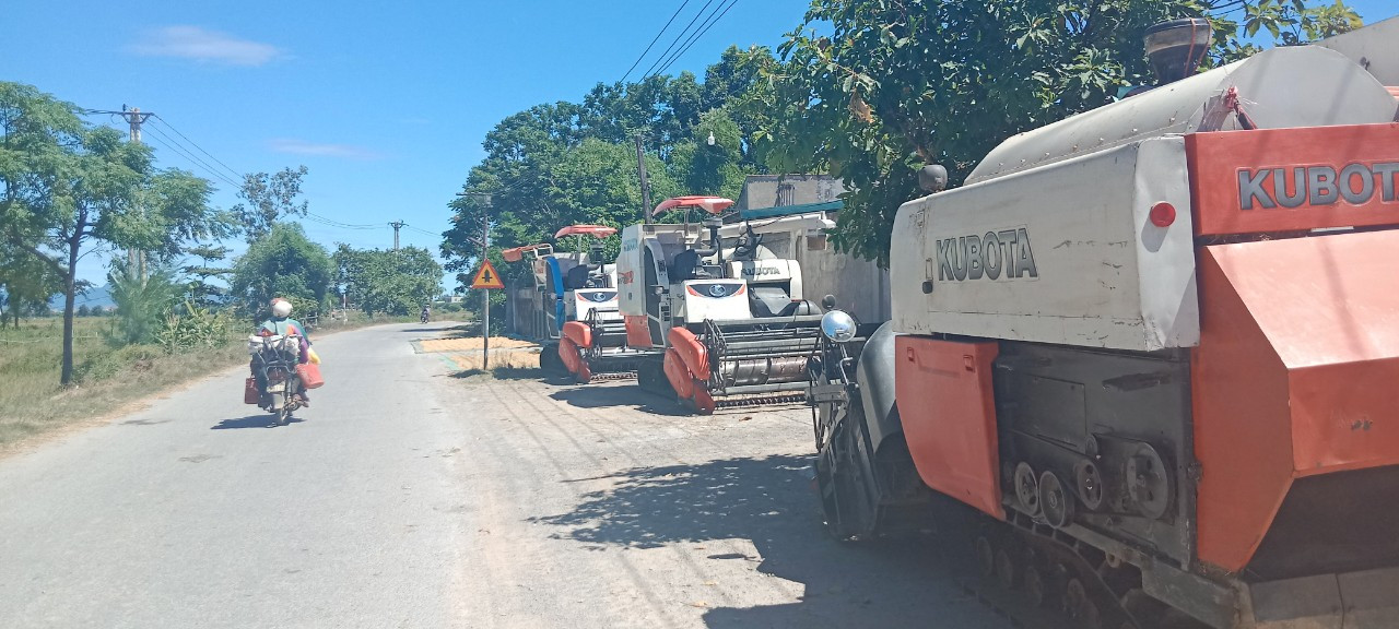 Máy gặt xã viên thuê về nhưng không được xuống đồng thu hoạch lúa