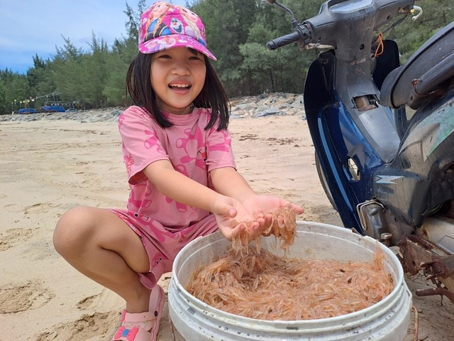 Niềm vui của những đứa trẻ vùng bãi ngang. “Mấy hôm nay, hàng trăm ngư dân các xã Bắc Quảng Trạch trúng đậm tép biển” – ngư dân Lê Văn Thiết nói.