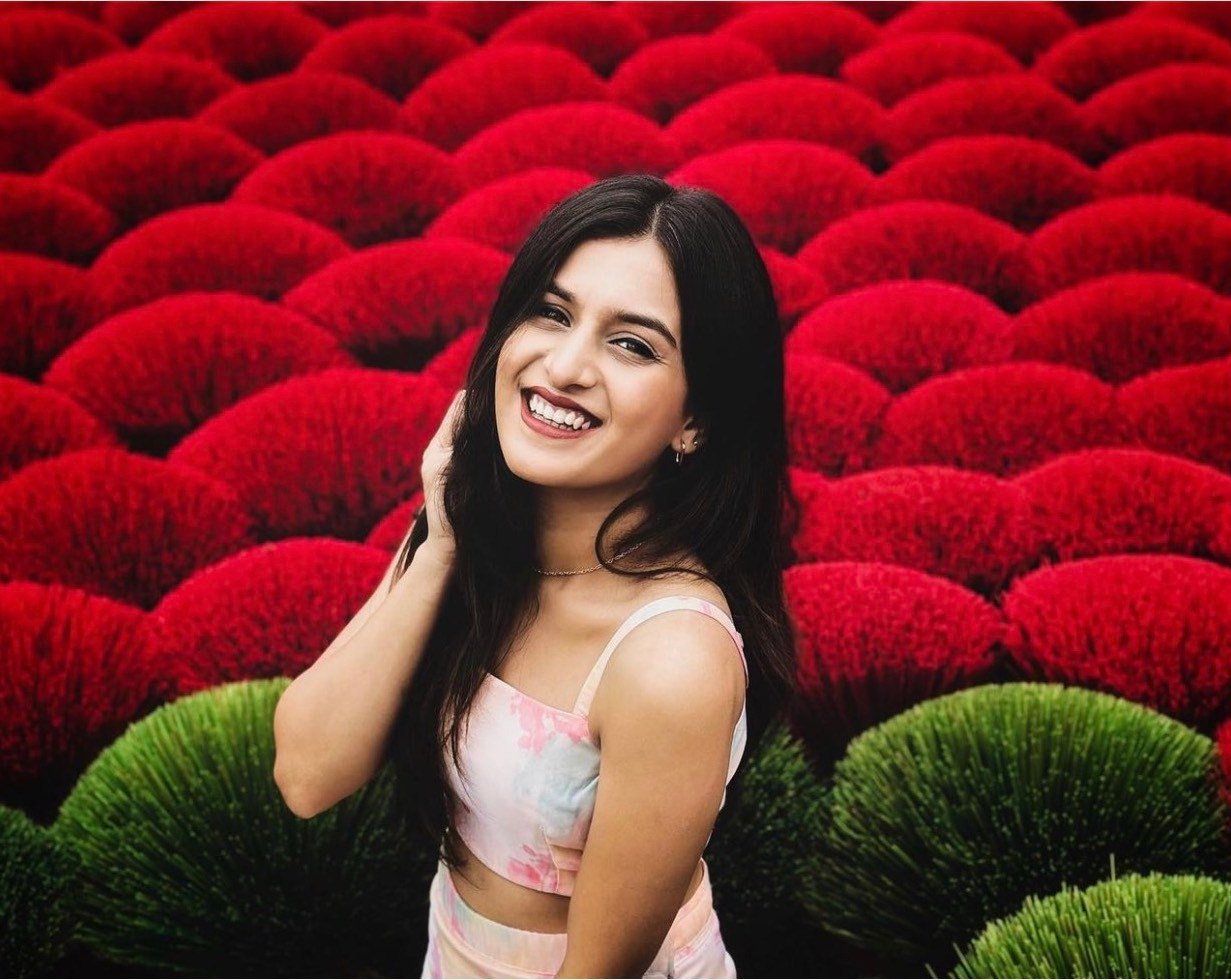 Hoạt động phơi các bó hương tạo nên các mảng màu độc đáo. Ảnh: Shenoy.