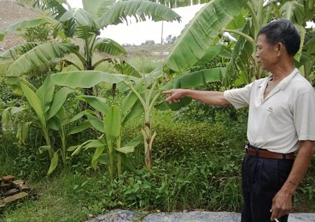 Tổ trưởng tổ dân phố Ngô Xuân Nghi chỉ vị trí đứa trẻ chết đuối