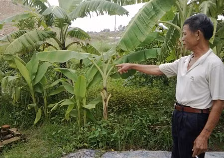 Tổ trưởng tổ dân phố Ngô Xuân Nghi chỉ vị trí đứa trẻ chết đuối