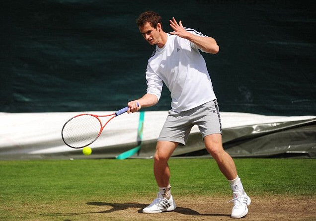 Andy Murray được đặt kỳ vọng sẽ chấm dứt cơn khát danh hiệu đơn nam Wimbledon kéo dài đã 77 năm của người Anh. Andy Murray được đặt kỳ vọng sẽ chấm dứt cơn khát danh hiệu đơn nam Wimbledon kéo dài đã 77 năm của người Anh