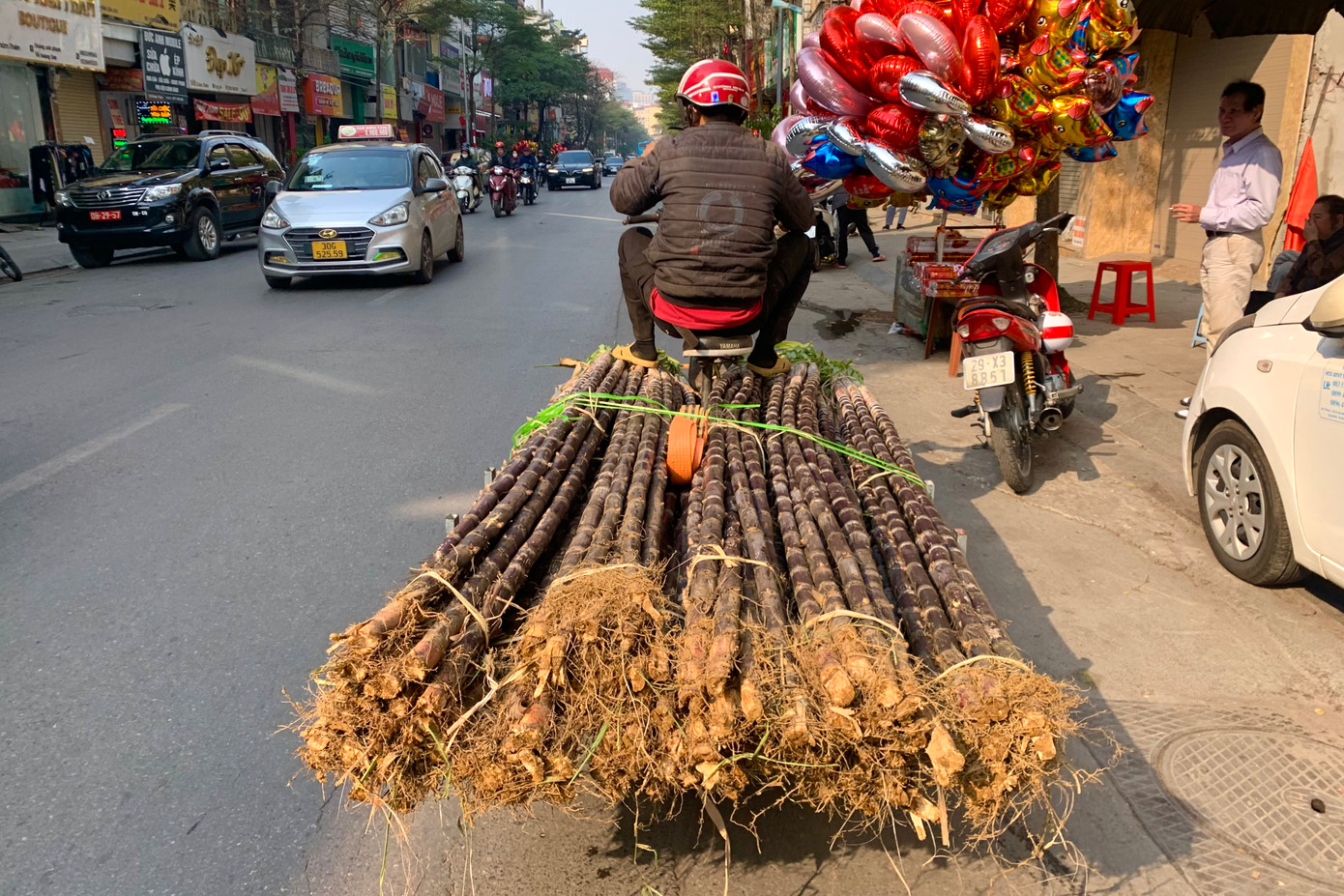 Vì lẽ này mà sau giao thừa, mía lộc đặc biệt là các cây mía đẹp còn nguyên ngọn lá gốc rễ được nhiều người dân săn đón.