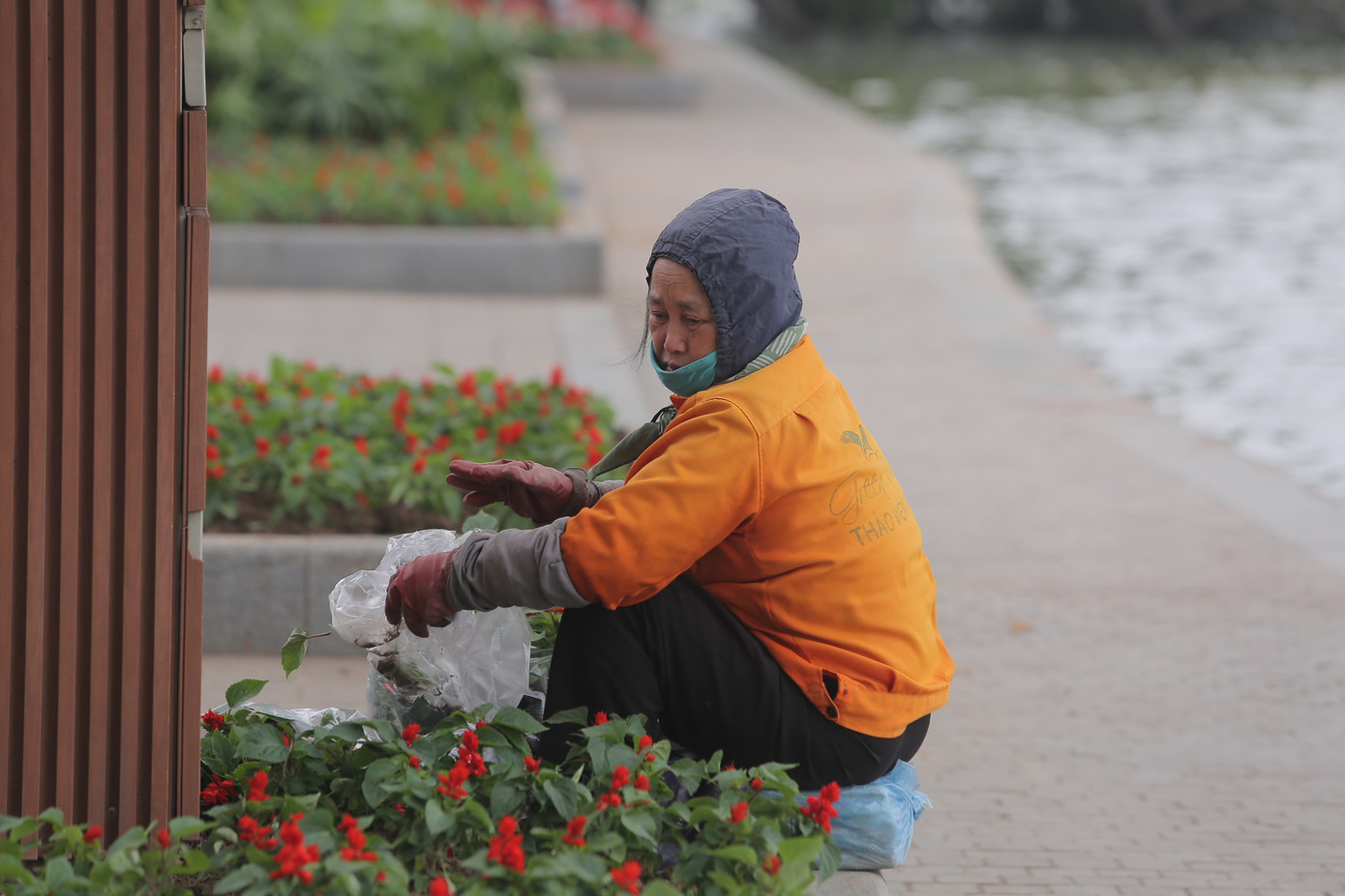 Thảm hoa được các nhân viên chăm sóc, trồng mời liên tục, giữ màu sắc cho hồ Hoàn Kiếm.