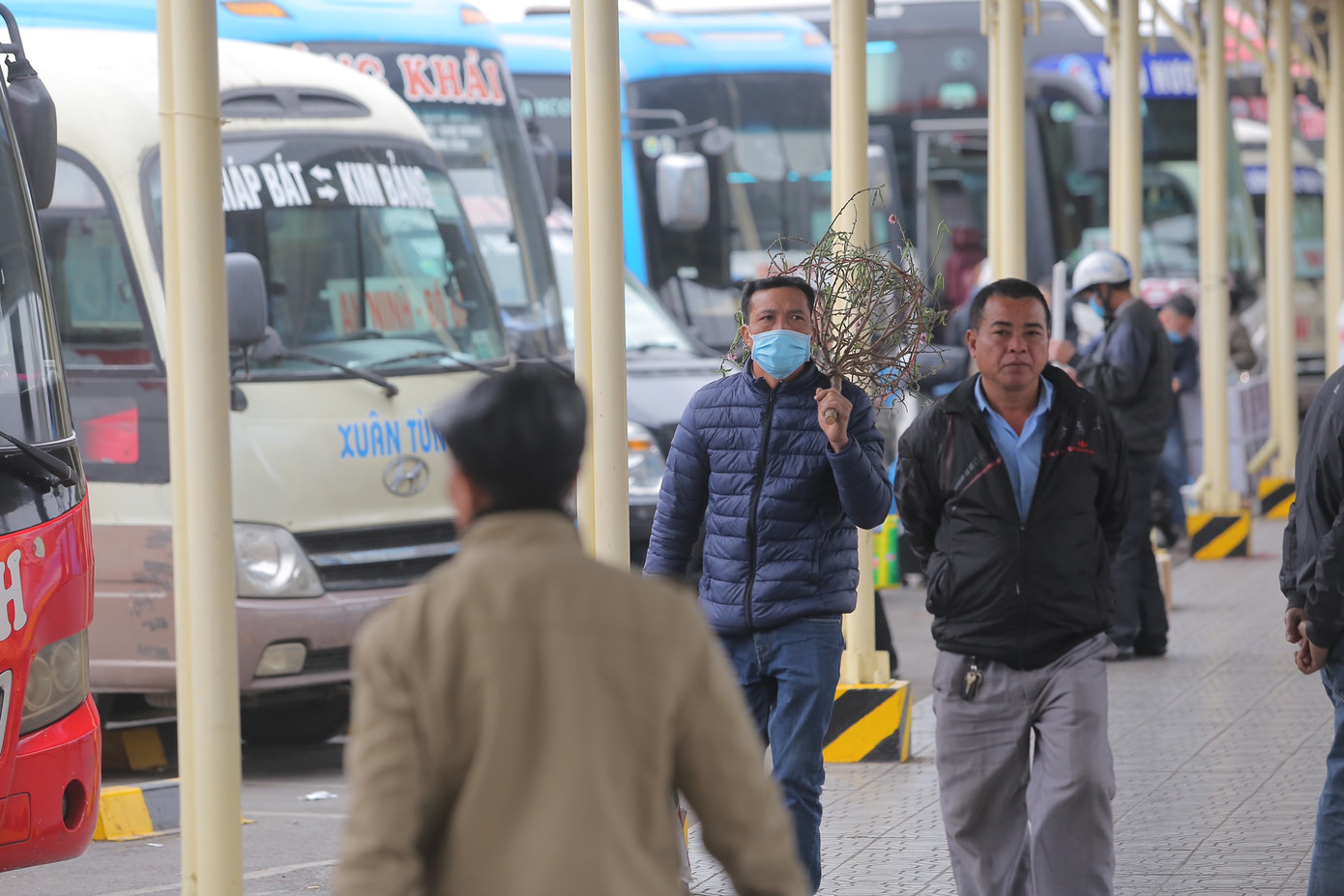 Bên cạnh những hành lý cồng kềnh, người dân mang theo những cành đào về quê nhà.