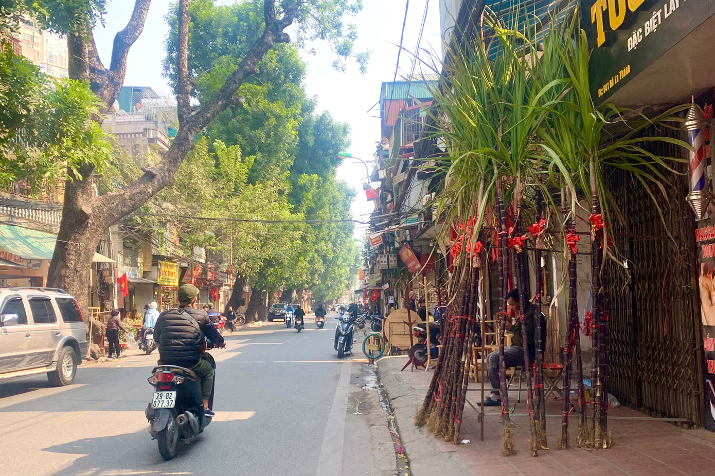 Đúng ngày cuối cùng của năm, 30 Tết, mía lộc được các tiểu thương vận chuyển về khắp các vỉa hè con phố nội thành Hà Nội chuẩn bị cho khoảnh khắc đón giao thừa.