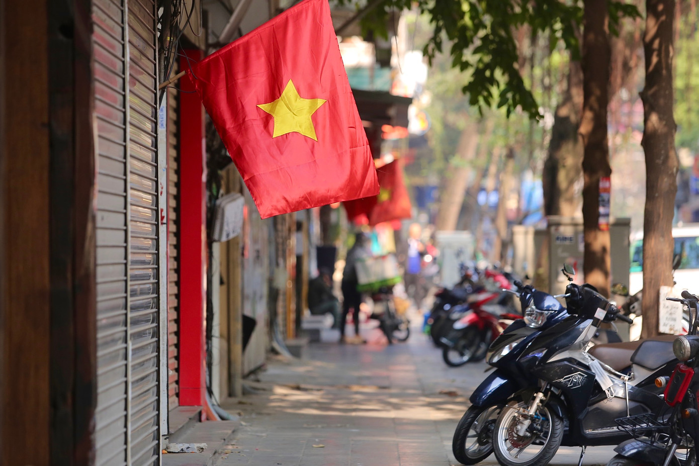 Các con phố, ngõ nhỏ của Thủ đô đồng loạt rực rỡ trong ngày cuối cùng của năm.