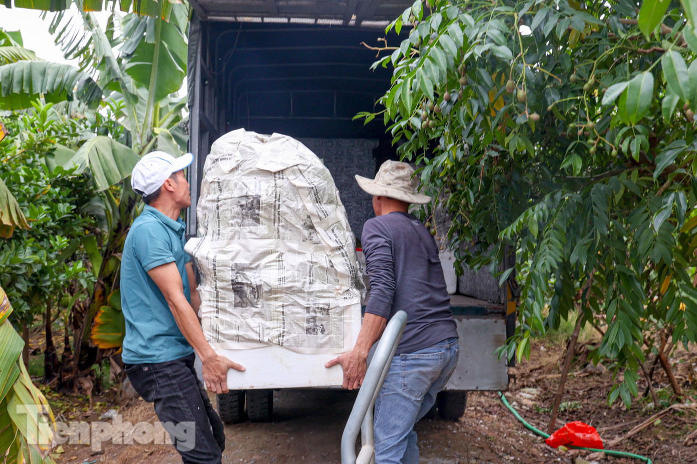 Thời điểm bán Phật thủ chạy nhất là từ ngày ông Công ông Táo đến 30 Tết.