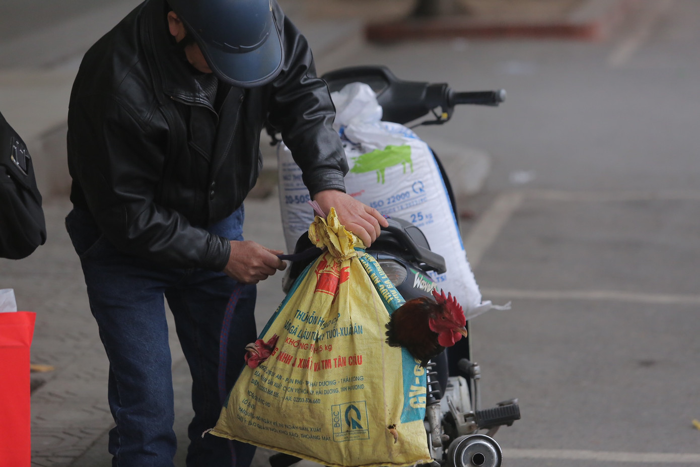 Một người dân mang theo gà ra bến xe.