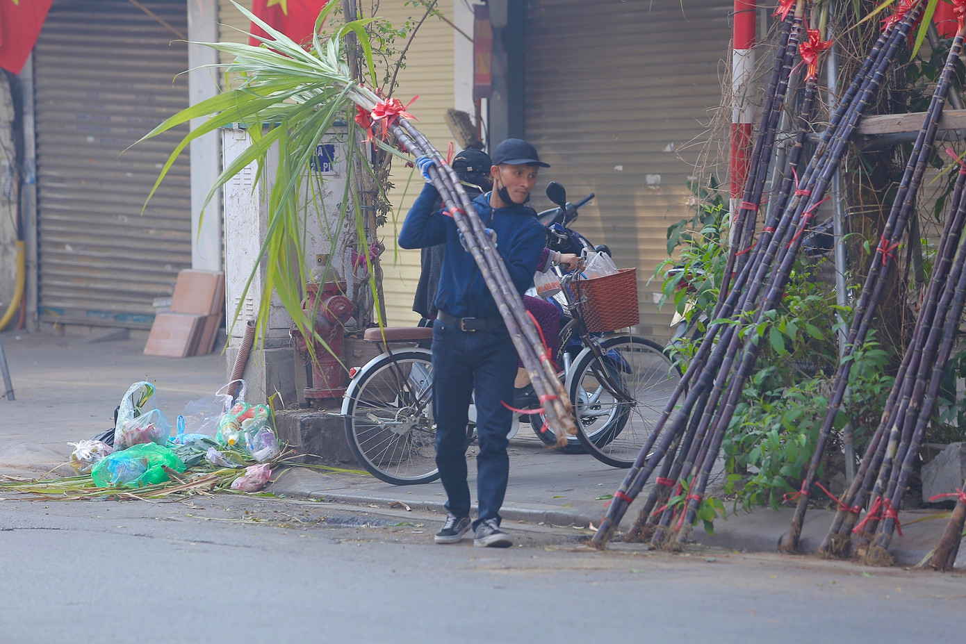 So với năm trước, giá mía lộc năm nay cao hơn.