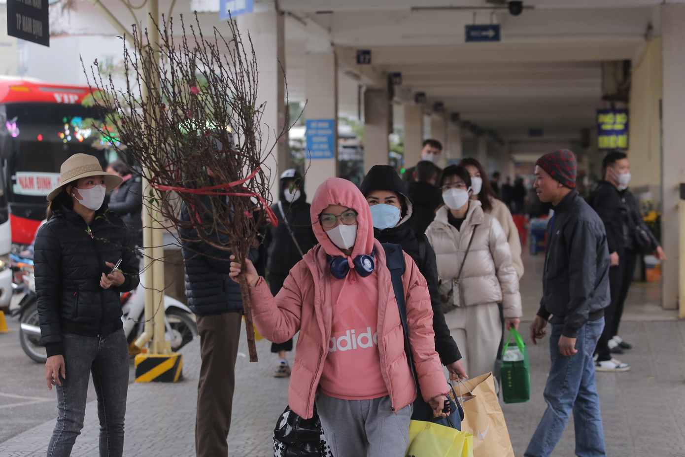 Những cành đào mang lại không khí xuân tại bến xe Giáp Bát.