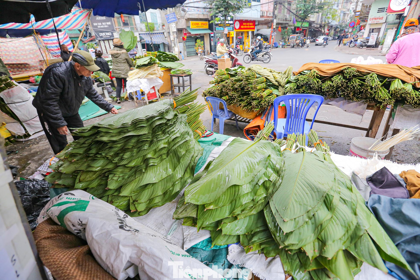 Lá dong ở đây được chia làm 2 loại: lá dong rừng và lá dong quê.