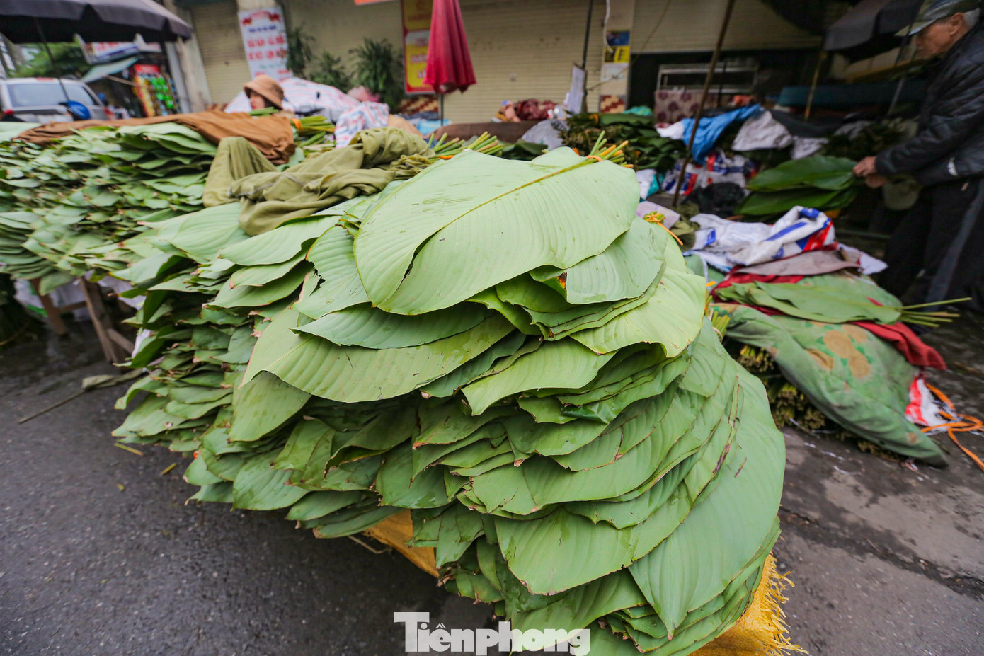 "Như mọi năm những ngày này người hỏi mua đông lắm, nhưng năm nay lại không thấy ai mua. Những người mua số lượng lớn thì đã mua từ hôm trước", một tiểu thương cho biết.