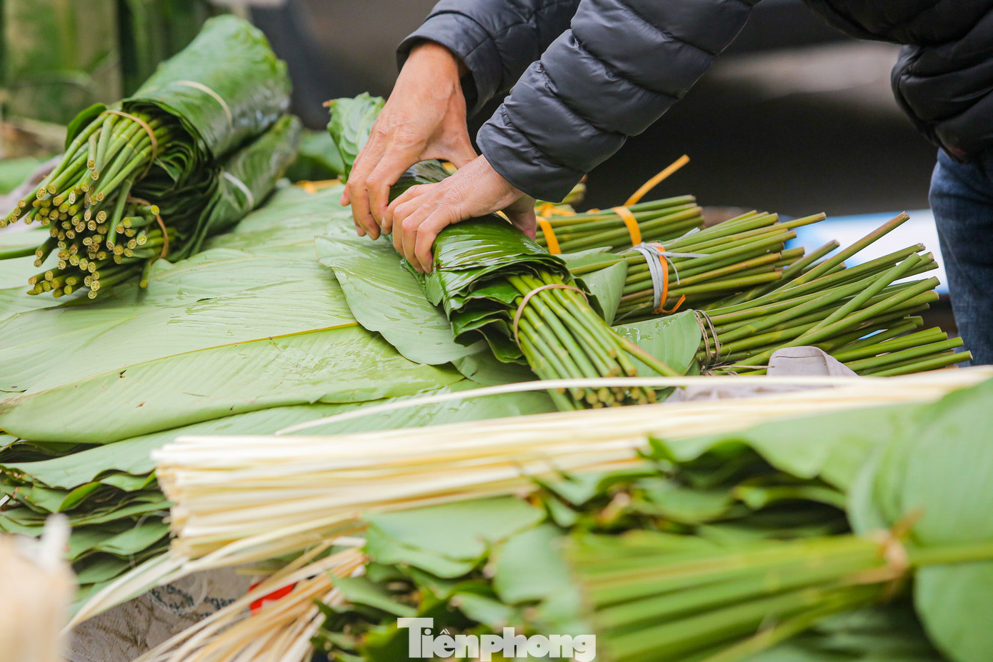 Những chiếc lá dong được bó cẩn thận.