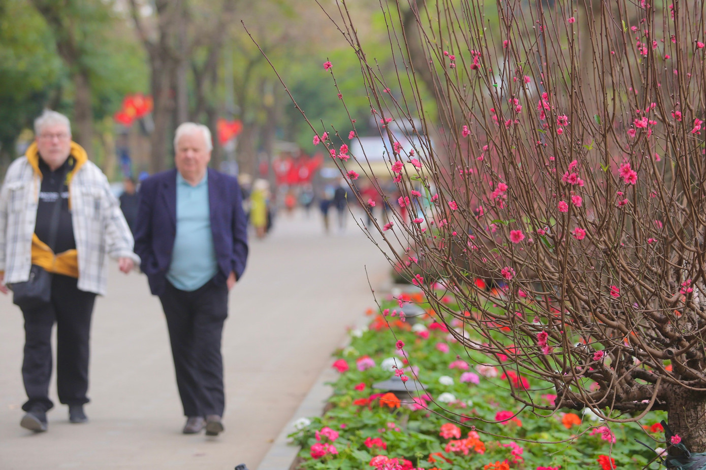 Ngoài 19 ô thảm hoa được trang trí theo mùa như hoa hồng, thược dược, đồng tiền, cúc Nam Phi, cúc thân gỗ, cúc lá nho, violet, cúc đại đóa... để phục vụ Tết Quý Mão 2023, hồ Hoàn Kiếm còn được trang trí thêm 57 cây đào Nhật Tân dáng tròn ngay tại giữa vị trí các bồn hoa.