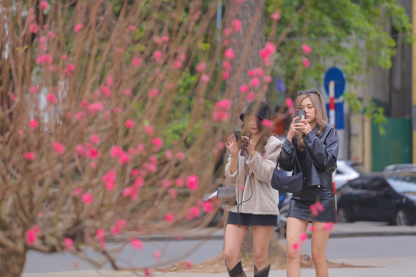 Đào đã bung sắc rực rỡ bên hồ thu hút ánh nhìn của người dân.