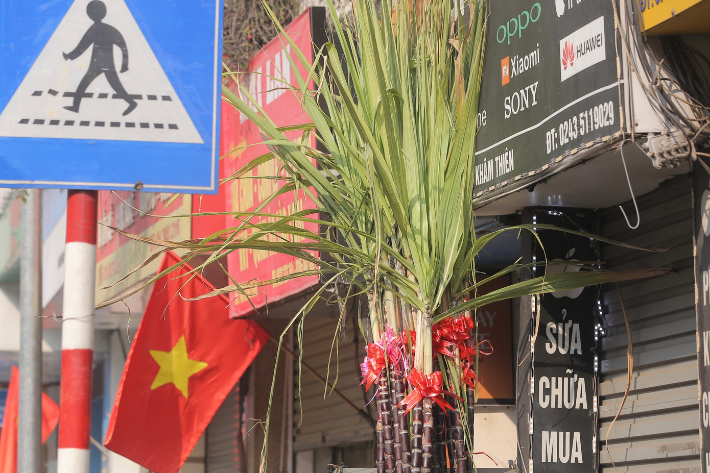 Tuy giá cao, nhưng nhiều người dân vẫn sẽ mua về đặt cạnh bàn thờ theo phong tục truyền thống và lấy may năm mới.