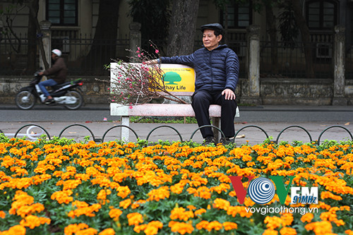 Hồ Gươm rực rỡ sắc hoa đào ảnh 8