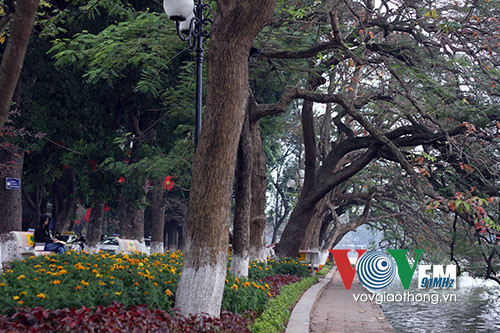 Hồ Gươm rực rỡ sắc hoa đào ảnh 18