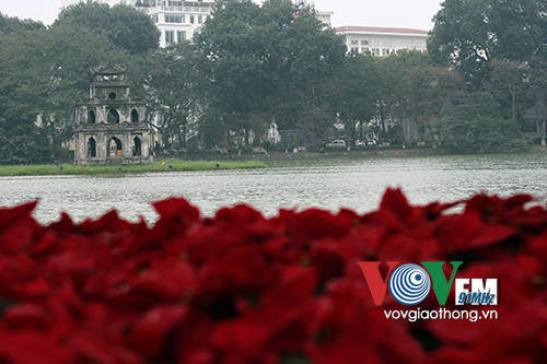 Hồ Gươm rực rỡ sắc hoa đào ảnh 12