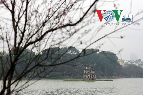 Hồ Gươm rực rỡ sắc hoa đào ảnh 4