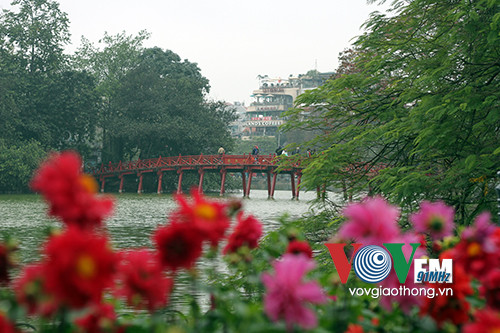 Hồ Gươm rực rỡ sắc hoa đào ảnh 10