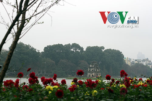 Hồ Gươm rực rỡ sắc hoa đào ảnh 13