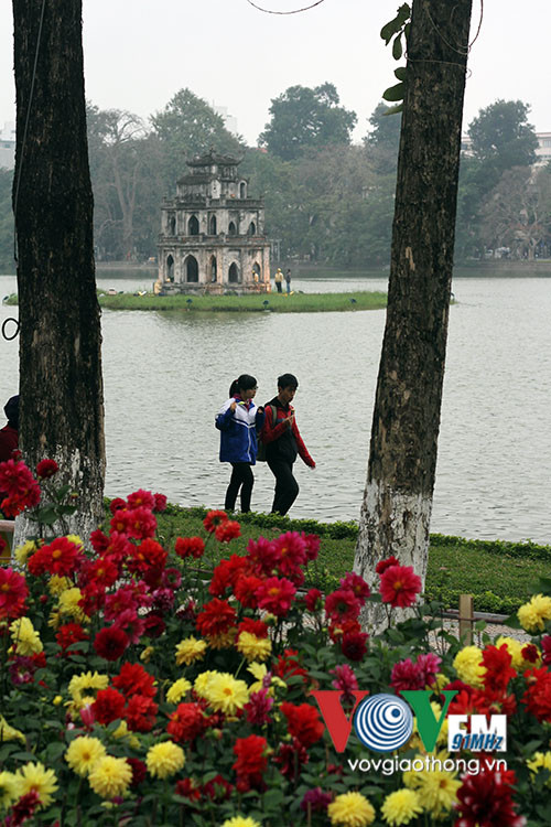 Hồ Gươm rực rỡ sắc hoa đào ảnh 16
