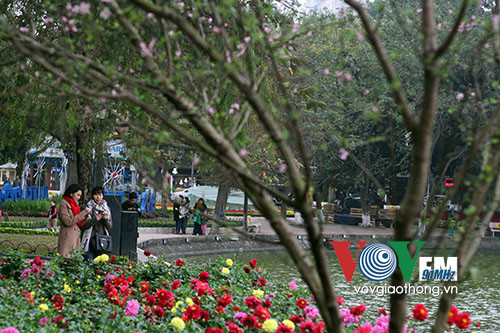 Hồ Gươm rực rỡ sắc hoa đào ảnh 14