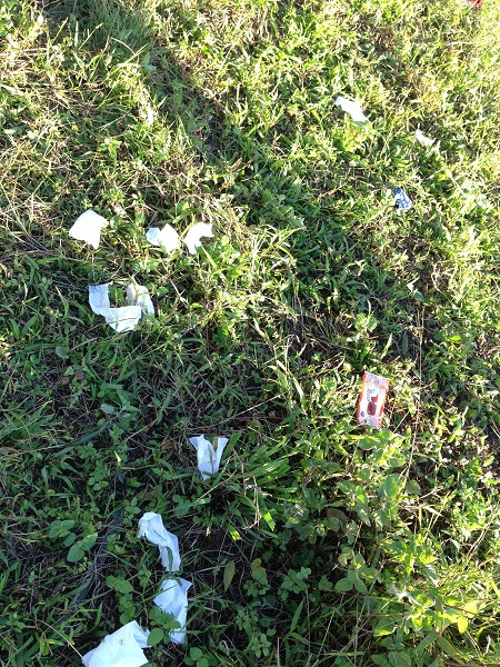 Các bạn trẻ vô tử thải rác