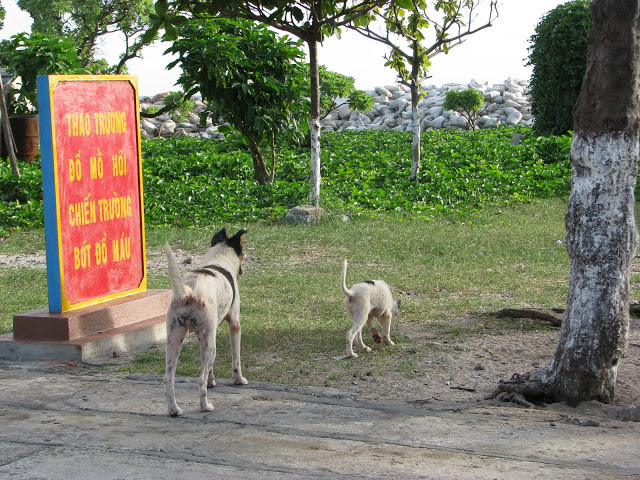 "Ra tập ngay! Không được lười".