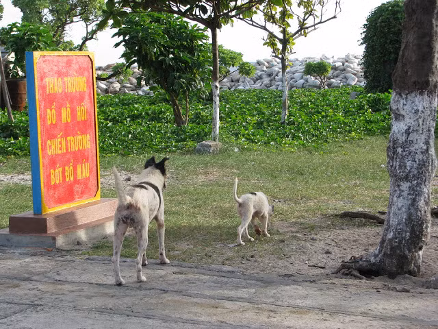 "Ra tập ngay! Không được lười".