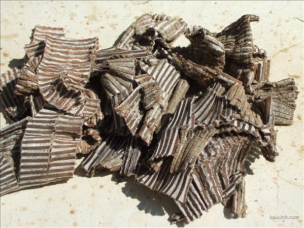 5 bài thuốc trị động thai