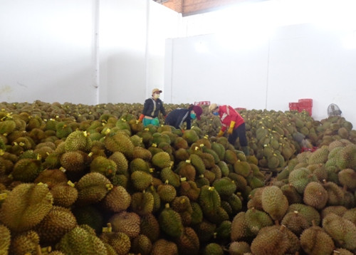 Côn đồ ném bom xăng định thiêu sống 36 công nhân? ảnh 2