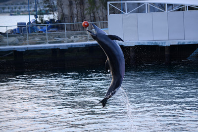 Khám phá những dự án đẳng cấp của Tập đoàn Vingroup ảnh 11