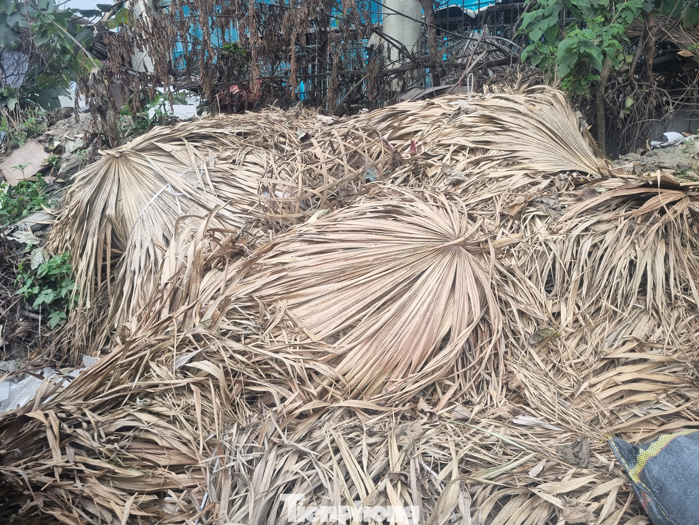 Con đường chậm tiến độ, bỏ dở dang đã trở thành nơi đổ rác thải, gây ô nhiễm môi trường.