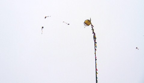 Cuộc thi ném còn...