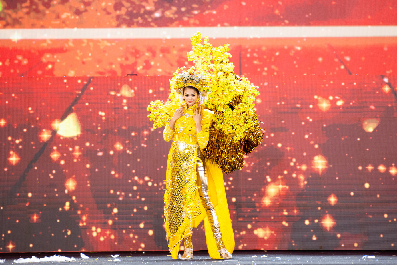 Các thiết kế trình diễn trong đêm thi National Costume của cuộc thi Hoa hậu Hòa bình Việt Nam 2024.