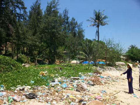 Khu vực núi Đình, gần cửa Kẽm, nơi được cho là mãnh thú đang ẩn nấp. Ảnh: Bee.net.vn